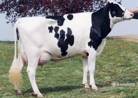 Art-Acres Aerostar Kay K-ET VG-87