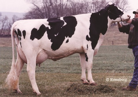 Art-Acres Mar Kay 721-ET VG-88