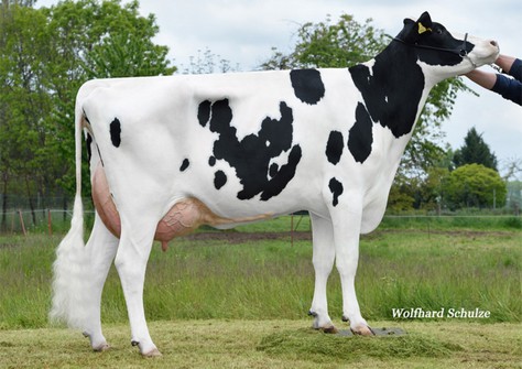 SHA Grumeti VG-87