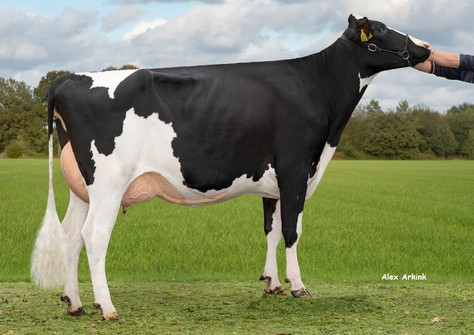 De Oosterhof 3STAR Margareth RDC VG-86