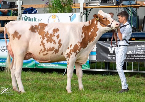 Drouner Aiko 1920 VG-88