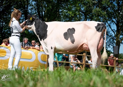 Drouner Cosmo 1836 VG-89