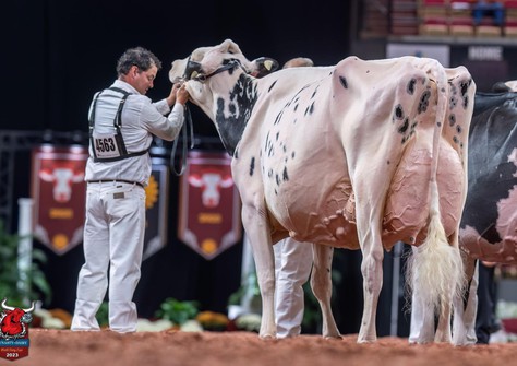 Erbacres Snapple Shakira EX-97