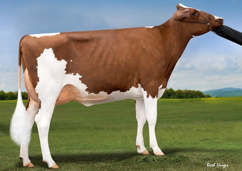 Greenlea Ad Avery-Red EX-90