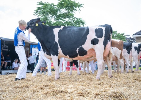 Het Uilenreef Charity 16 EX-91