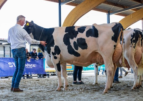 Holbra Sonya 2 EX-91