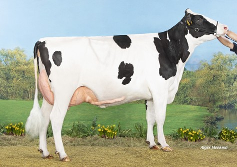 Koepon Star Range 78 RDC VG-87 Koepon Star Range 78 RDC VG-87