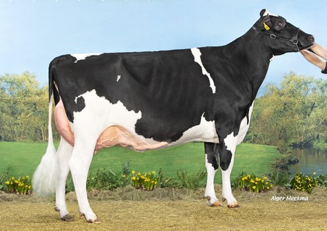 Koepon Zazzle Cherry 13 VG-89 Koepon Zazzle Cherry 13 VG-89