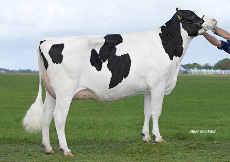 Midwolder Susan 211 NL 899486152 (Rubicon) EX-90