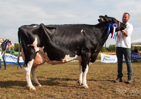 Oosterbrook Acm S Hanillo EX-90