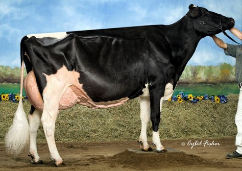 Rainyridge Talent Barbara RDC EX-95