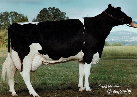 Scientific Jubilant Rae EX-90