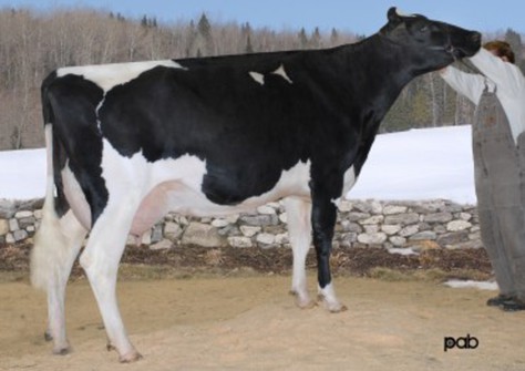 Wilson-Dale Durham Trend EX-92