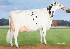 De Volmer Warsi RDC VG-86