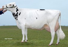 Delta Simone P RDC VG-85