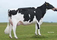 Delta Suze P RDC VG-86