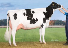 Drouner K&L Aiko 1398 RDC VG-89