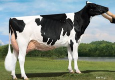 Duckett Harvue Finesse EX-94 Duckett Harvue Finesse EX-94