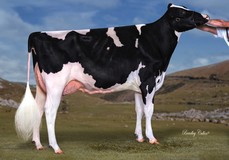 Flora Atwood Adeena VG-87