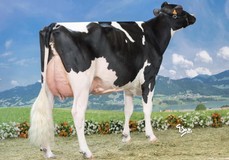 Flora Atwood Adeena VG-87