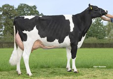 Holbra Malon 17 VG-87 Holbra Malon 17 VG-87
