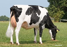 Holbra Malon 9 VG-88 Holbra Malon 9 VG-88