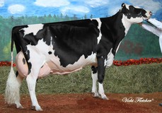 Idee Louis Luise EX-94