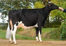 JK Eder DG Awesome Esmeralda RDC VG-86