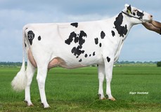 K&L SG Dellia VG-86