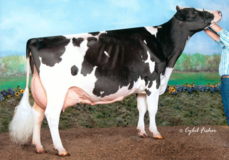 Windy-Knoll-View Pledge EX-95