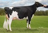 De Oosterhof 3STAR Margareth RDC