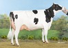 Koepon Star Range 78 RDC
